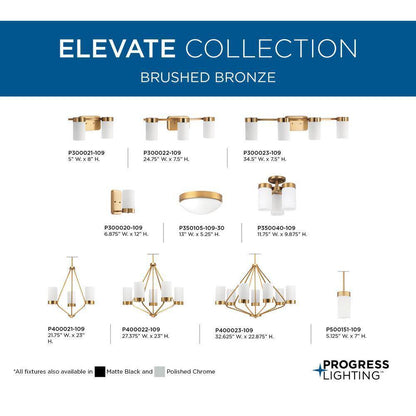 Progress Lighting Elevate 1-Light Brushed Bronze Etched White Glass Vanity Light