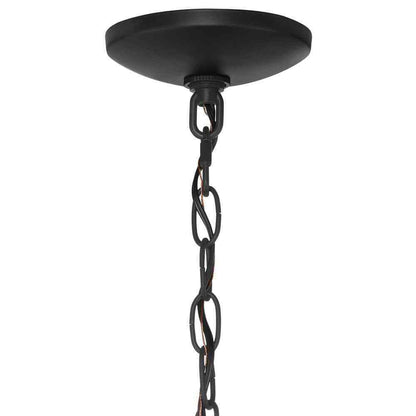 Home Decorators Collection Sarolta Sands 1-Light Black Orb Cage Pendant Light