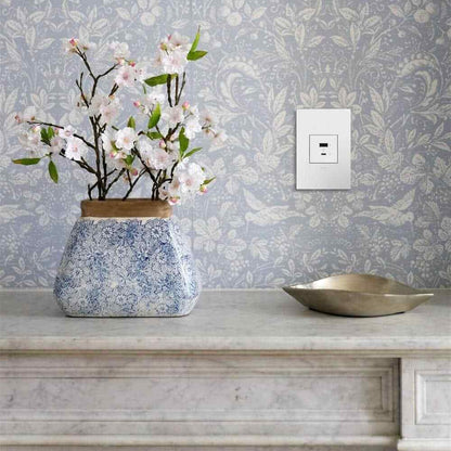 Legrand adorne 6.0 Amp Ultra-Fast USB Type A/C Duplex Outlet White ARUSB2AC6W4