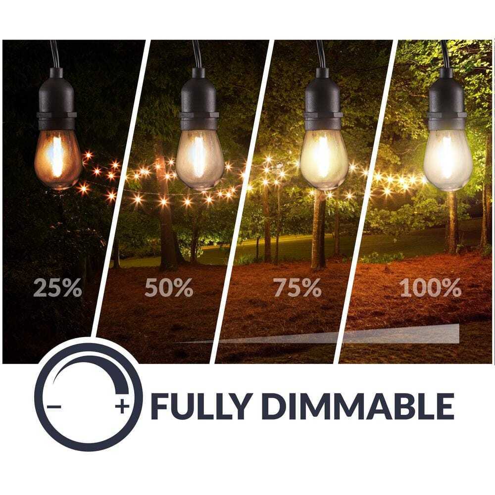 Newhouse Lighting Outdoor/Indoor 48 ft. Plug-In S14 Bulb LED String Light