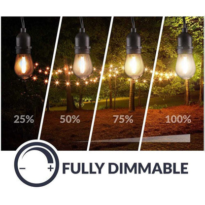 Newhouse Lighting Outdoor/Indoor 48 ft. Plug-In S14 Bulb LED String Light