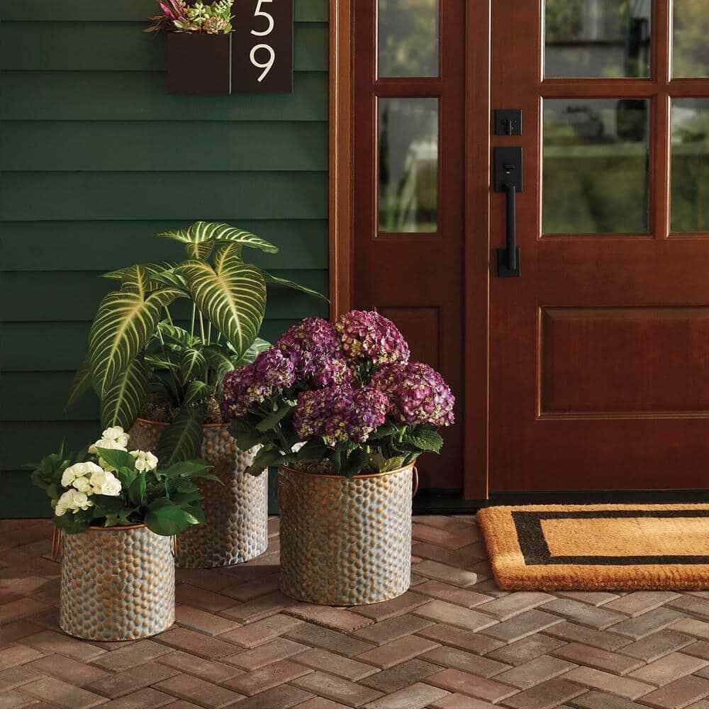 Hampton Bay Easton 11 in. Copper Barn Outdoor Wall Lantern Sconce w/ Steel Shade