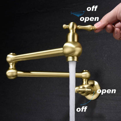 FLG Wall Mounted Pot Filler Double Handle Kitchen Sink Faucet Brushed Gold
