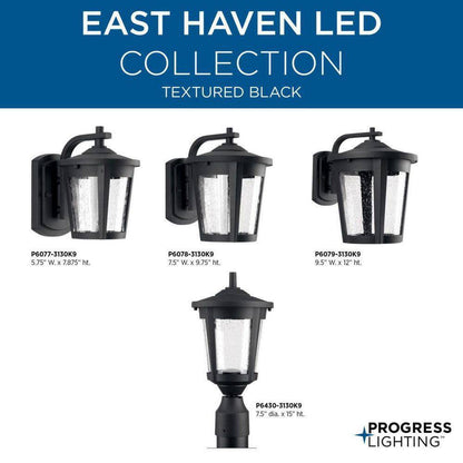 Progress Lighting East Haven LED Textured Black Clear Seeded Glass Lantern Light