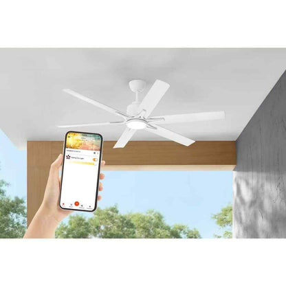 Home Decorators 60 in. Smart Hubspace Indoor/Outdoor Ceiling Fan with Remote