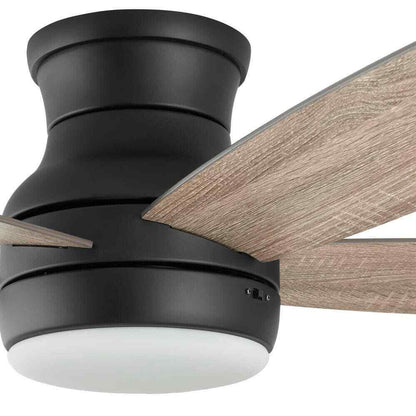 Home Decorators Ashby Park 52 in. Black Ceiling Fan w/ Light Kit and Remote