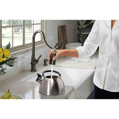 KOHLER Thierry Two Handle Pull-Down Sprayer Kitchen Faucet w/ Soap Dispenser
