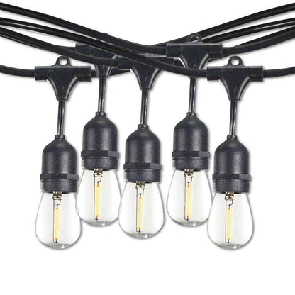 Bulbrite Outdoor 30 ft. Edison String Light Shatter Resistant Bulbs 12-Sockets