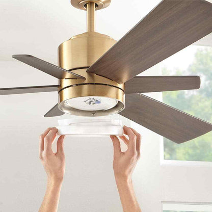 Home Decorators Hexton 52 in. Indoor LED Brushed Gold Ceiling Fan