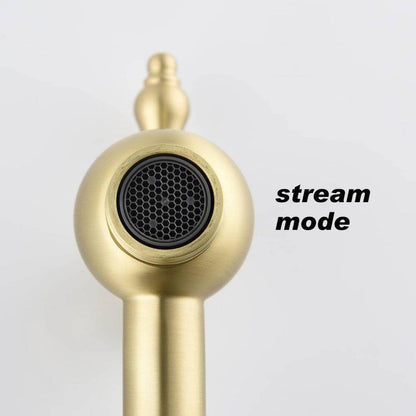 FLG Wall Mounted Pot Filler Double Handle Kitchen Sink Faucet Brushed Gold