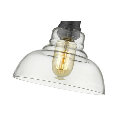 Golden Lighting Carver 1-Light Black Pendant with Clear Glass Shade