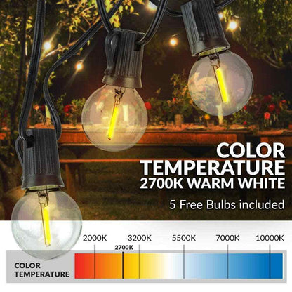 Newhouse Lighting Indoor/Outdoor 50 ft. LED Outdoor String Lights