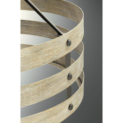 Progress Lighting Gulliver 8-1/2 in. 1-Light Graphite Coastal Drum Mini-Pendant