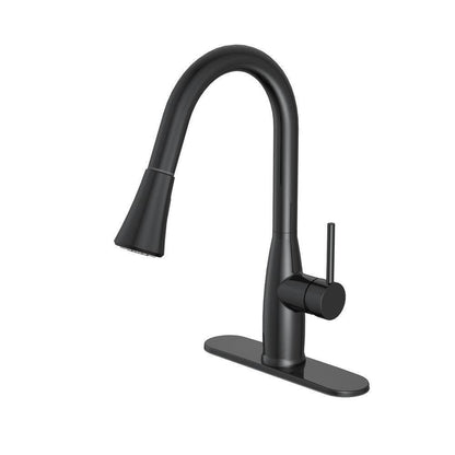 Cartway Single-Handle Pull-Down Sprayer Kitchen Faucet in Matte Black D001O