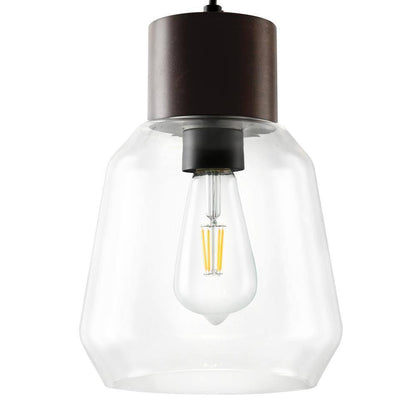 Light Society Faye 1-Light Black Wood/Clear Pendant with Glass Shade