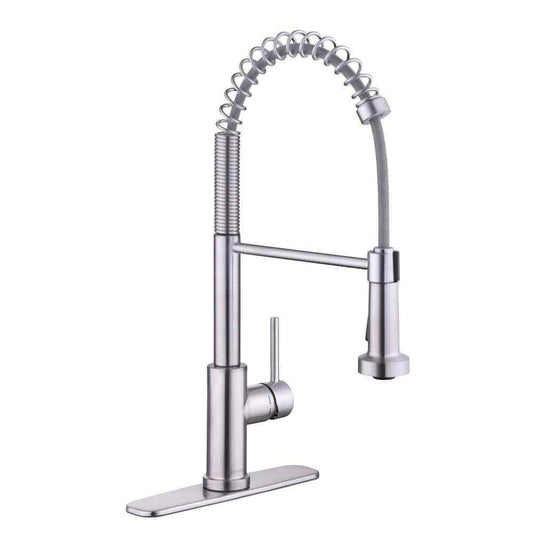 Glacier Bay Paulina Single-Handle Spring Neck Pull Down Sprayer Kitchen Faucet