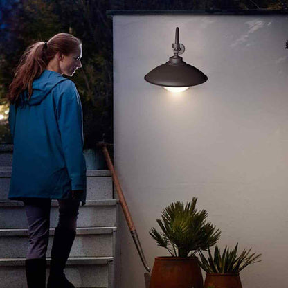 Cedar Hill 250-Watt LED Dusk to Dawn Area Light 5000K Gooseneck Wall Sconce