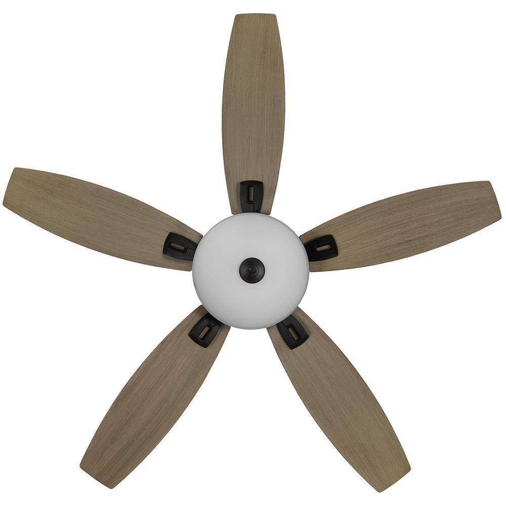 Hampton Bay North Pond 52 in. Indoor/Outdoor LED Matte Black Ceiling Fan