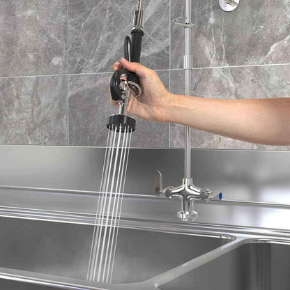 HOMLUX Commercial 2-Handle Wall Mount Pull-Down Sprayer Kitchen Faucet in Chrome