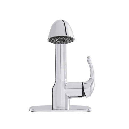 Glacier Bay Dunning Single-Handle Pull-Out Laundry Faucet w/ Dual Spray Chrome