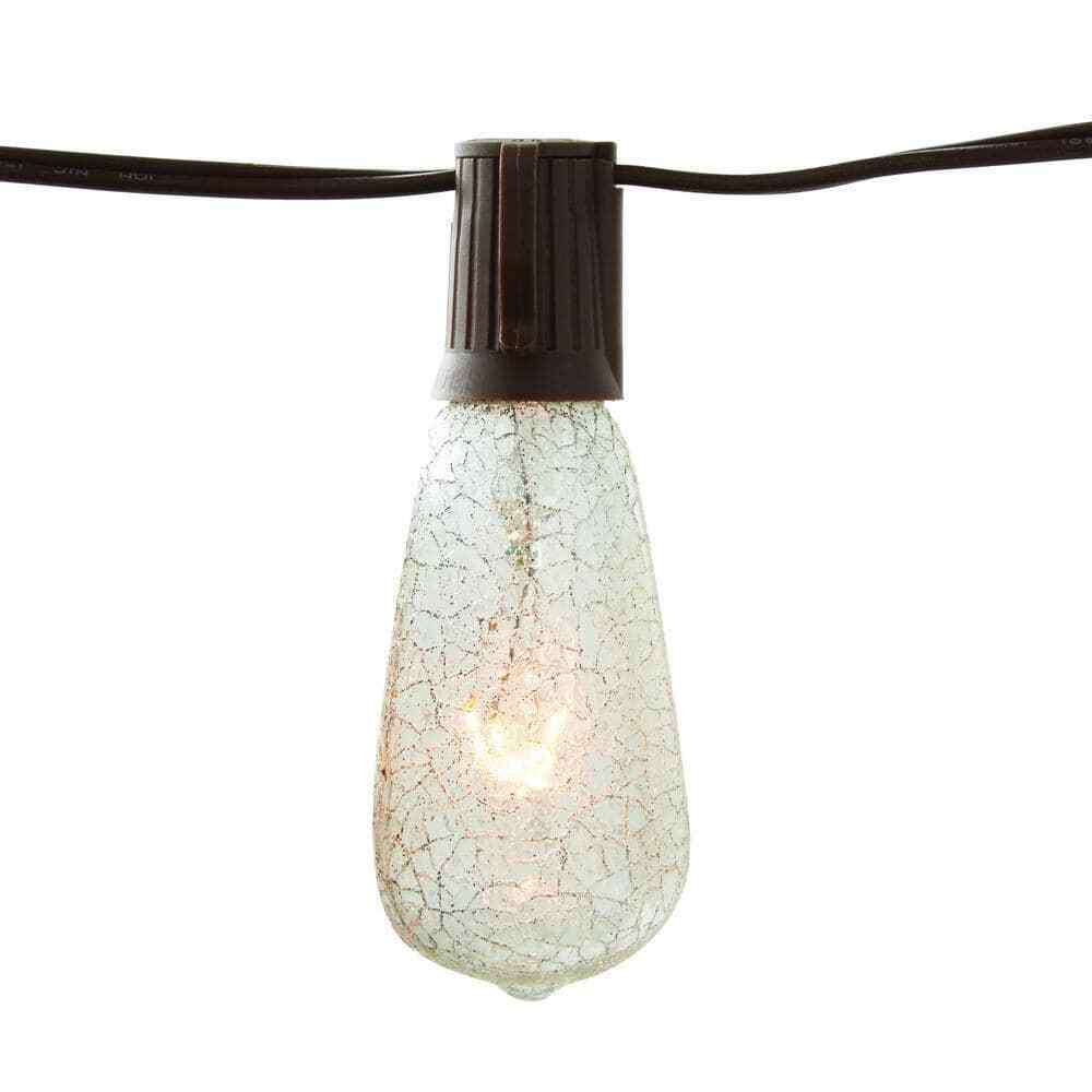 Hampton Bay Outdoor/Indoor 10 ft. Plug-In Incandescent ST40  Bulb String Light
