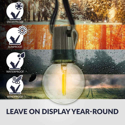 Newhouse Lighting Indoor/Outdoor 25 ft. Plug-In Globe Bulb LED String Lights