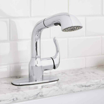 Glacier Bay Dunning Single-Handle Pull-Out Laundry Faucet w/ Dual Spray Chrome