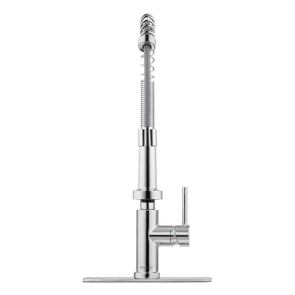 Glacier Bay Paulina Single-Handle Spring Neck Pull Down Sprayer Kitchen Faucet