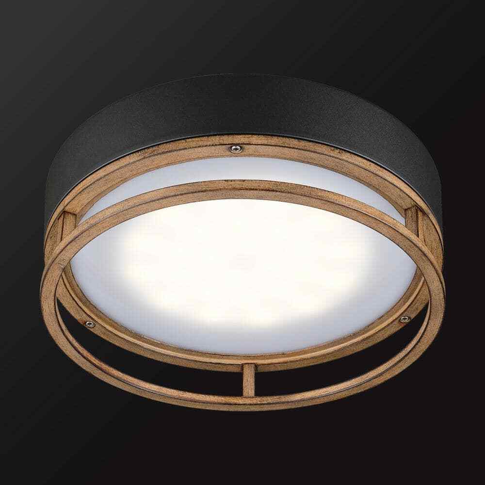 Globe Electric Ray 1-Light Matte Black 18.5-Watt LED Integrated Ceiling Light
