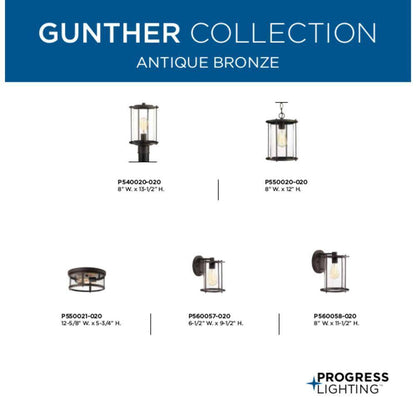 Progress Lighting Gunther Collection 1-Light Antique Bronze Wall Lantern Light