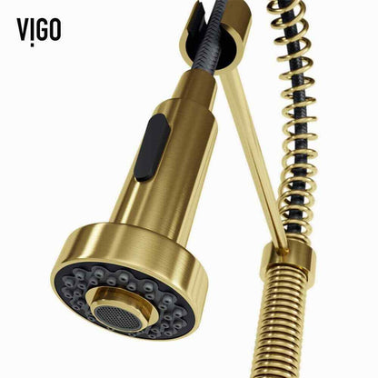 VIGO Edison Single Handle Pull-Down Sprayer Kitchen Faucet in Matte Brushed Gold