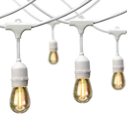 Hampton Bay 24 ft. 12-Light Plug-In Edison Bulb String Light