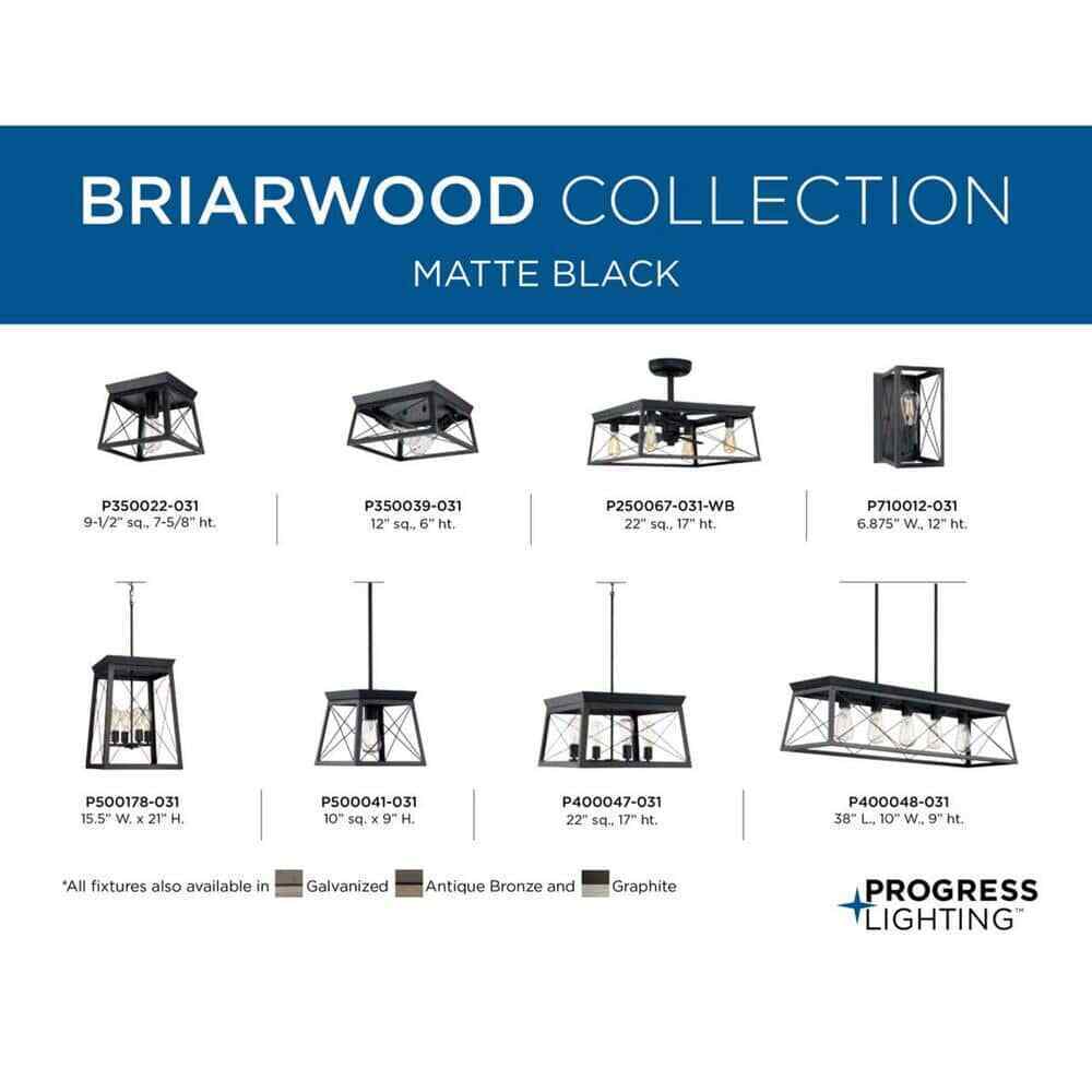 Progress Lighting Briarwood 2-Light Kitchen Farmhouse Ceiling Light Flush Mount