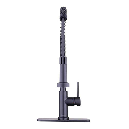 Glacier Bay Paulina One-Handle  Pull Down Sprayer Kitchen Faucet in Matte Black