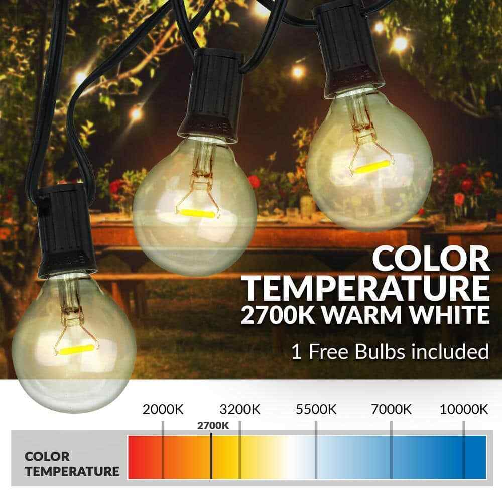 Newhouse Lighting 17 ft. Plug-in Globe Bulb LED String Lights