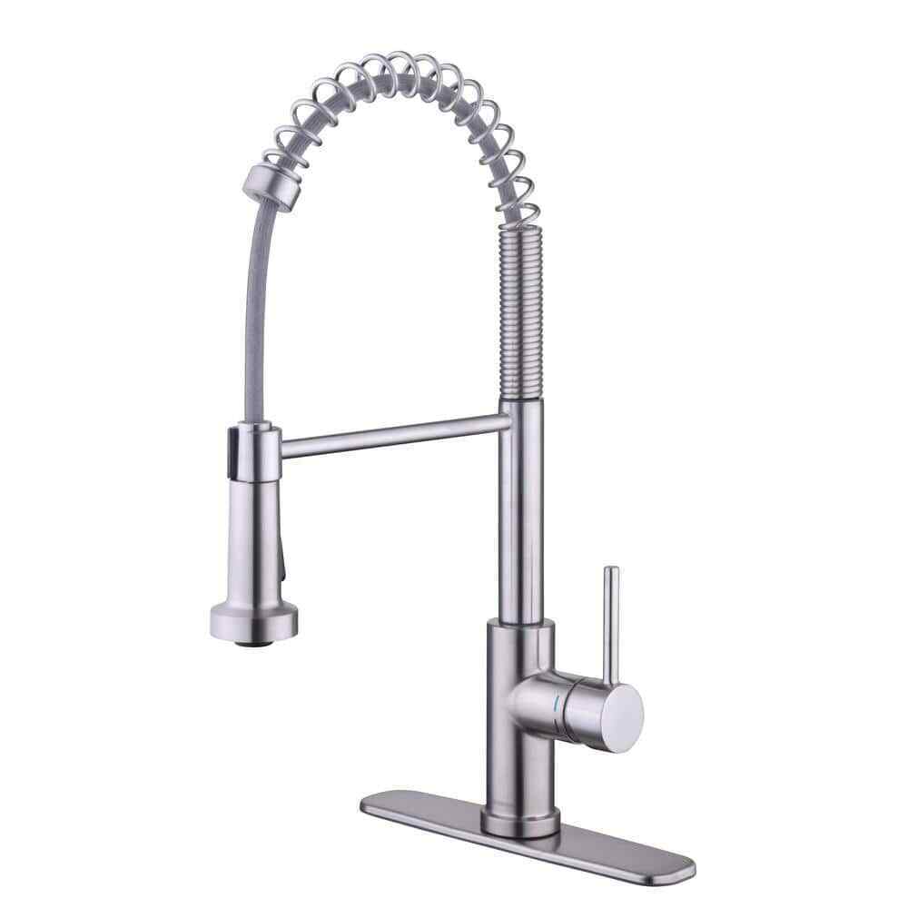 Glacier Bay Paulina Single-Handle Spring Neck Pull Down Sprayer Kitchen Faucet