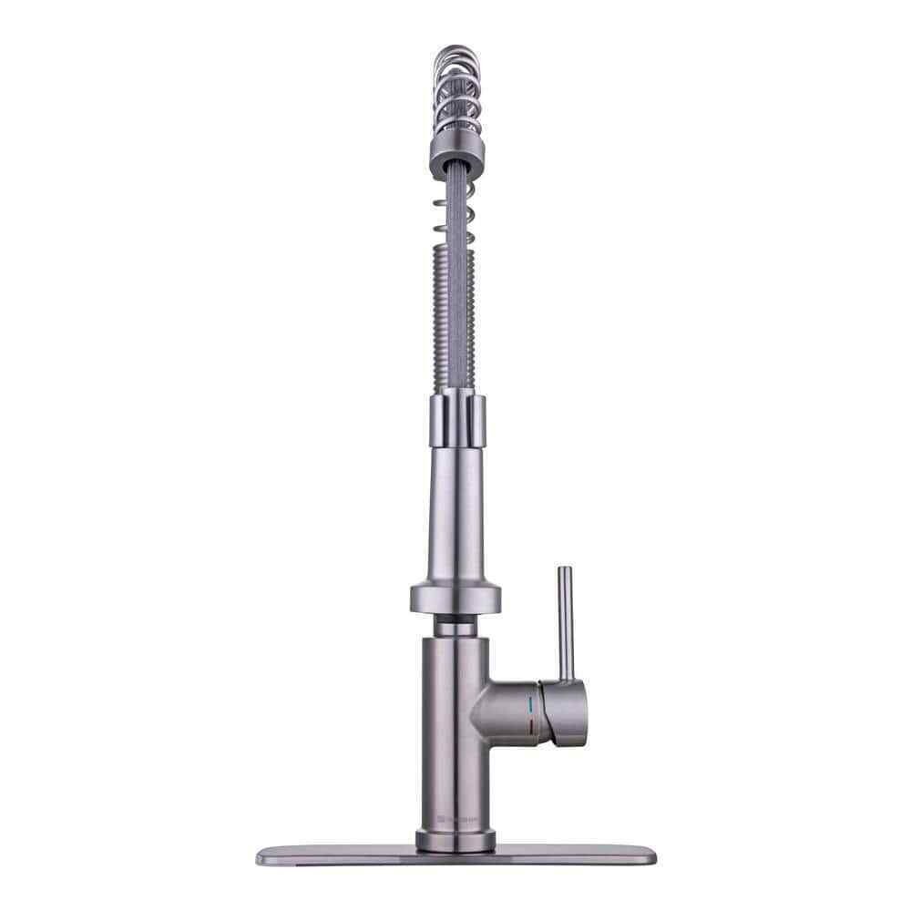 Glacier Bay Paulina Single-Handle Spring Neck Pull Down Sprayer Kitchen Faucet