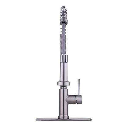Glacier Bay Paulina Single-Handle Spring Neck Pull Down Sprayer Kitchen Faucet
