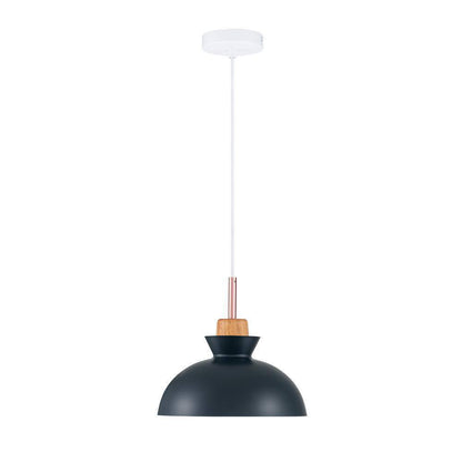RRTYO Matisse 1-Light Blue Single Dome Pendant Light with Metal Shade