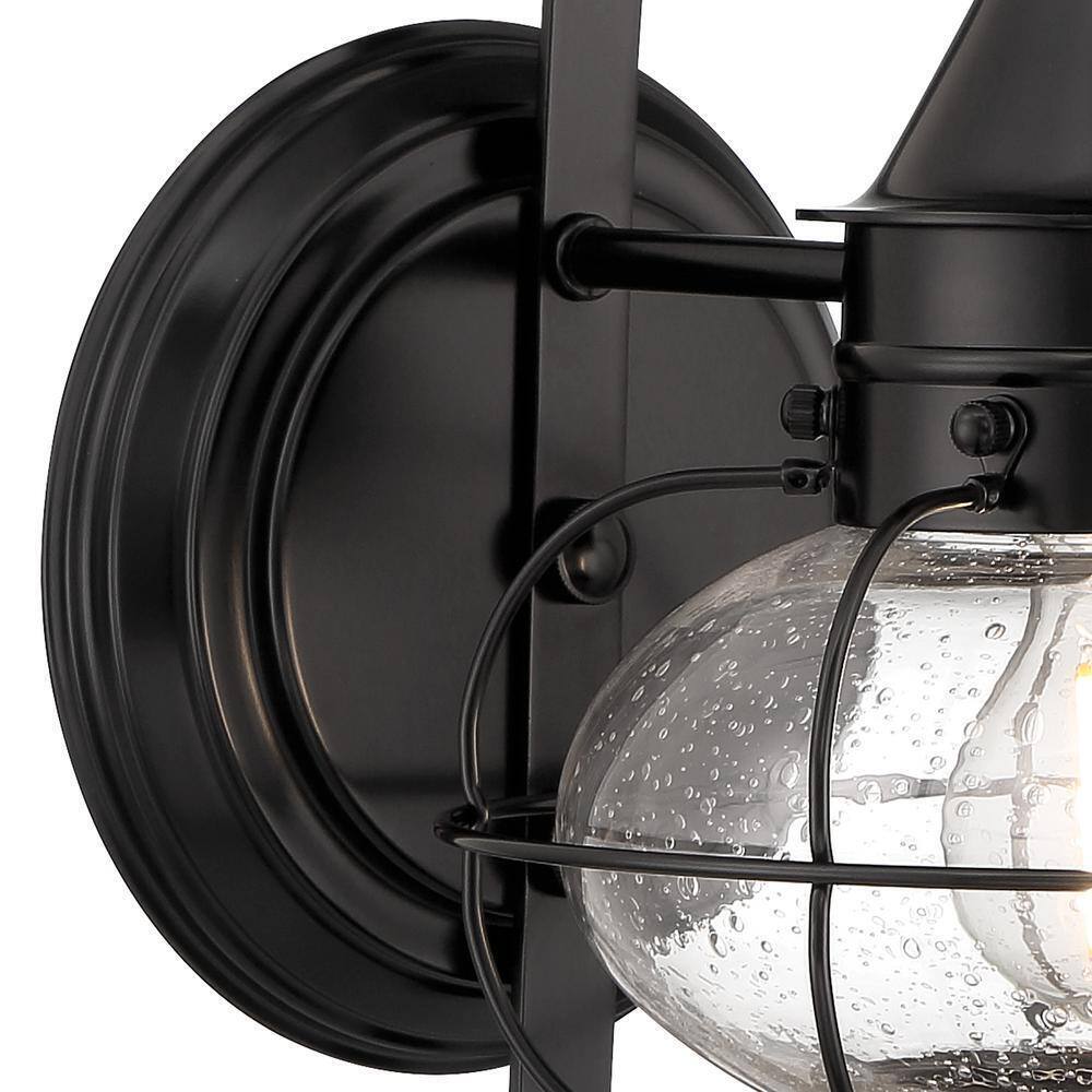 NORWELL Small Cottage Onion 1-Light Black Outdoor Wall Sconce with Seedy Glass