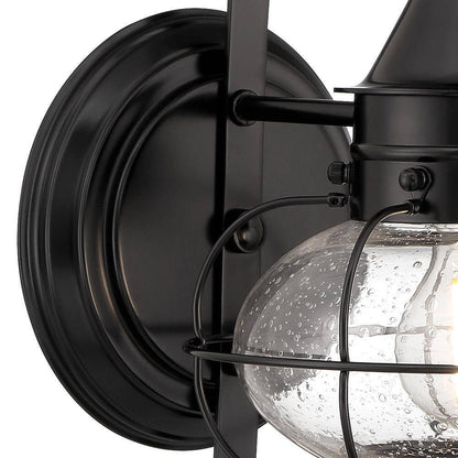 NORWELL Small Cottage Onion 1-Light Black Outdoor Wall Sconce with Seedy Glass