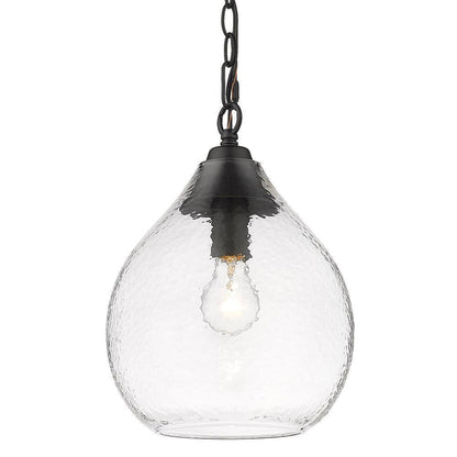 Golden Lighting Ariella 1-Light Matte Black Mini Pendant with Glass Shade