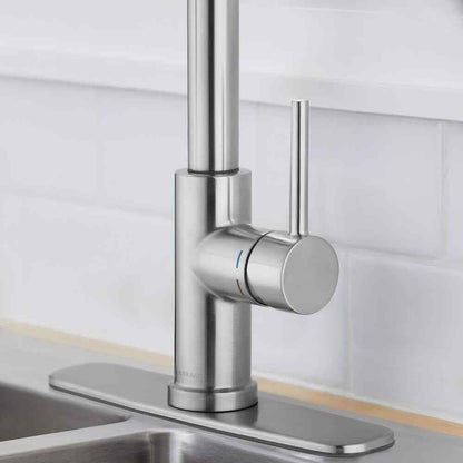 Glacier Bay Paulina Single-Handle Spring Neck Pull Down Sprayer Kitchen Faucet