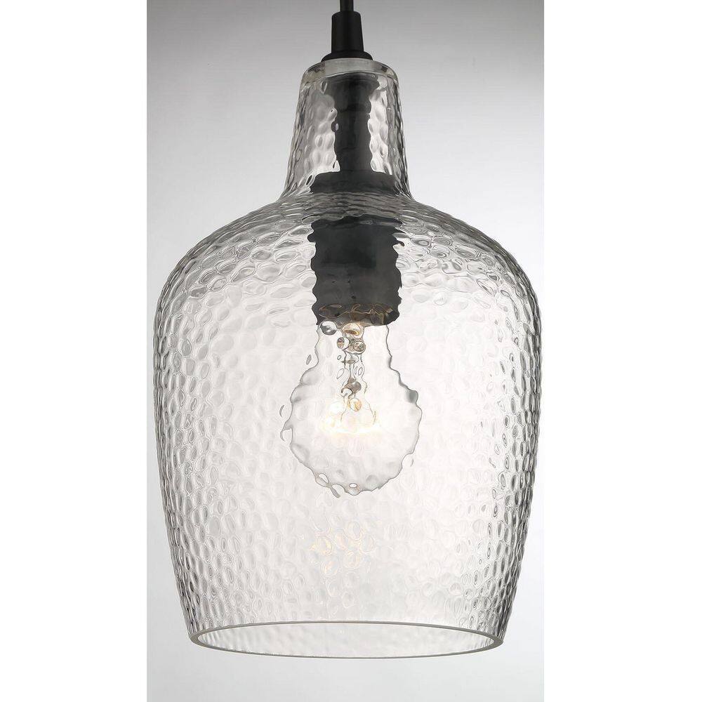 Hampton Bay Gillian 1-Light Coal Mini-Pendant Light with Clear Hammered Glass
