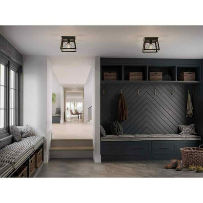 Progress Lighting Briarwood 1-Light Cerused Black Ceiling Light Flush Mount