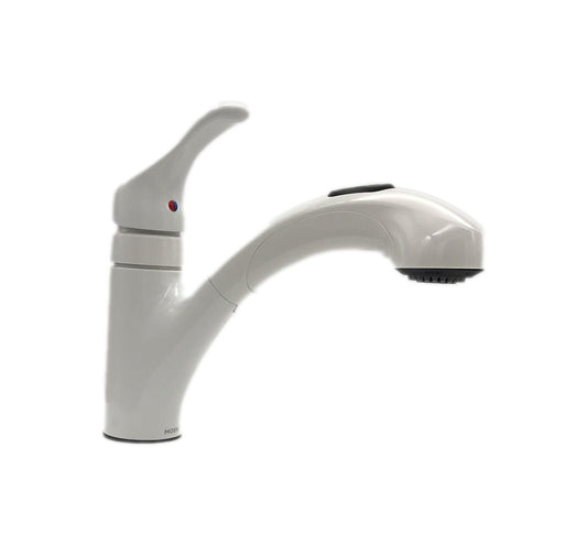 MOEN Renzo Single-Handle Pull-Out Sprayer Kitchen Faucet in Glacier CA87316W