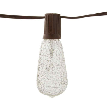 Hampton Bay Outdoor/Indoor 10 ft. Plug-In Incandescent ST40  Bulb String Light