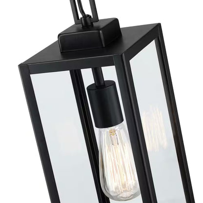 Alfa 1-Light Matte Black Outdoor Hanging Lantern Pendant Light with Clear Glass