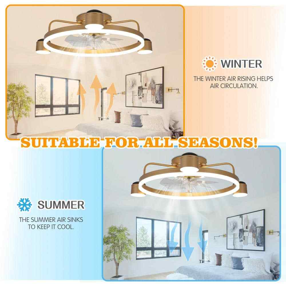 Bella Depot Starry Night LED Indoor Gold Ceiling Fan  Dimmable Light and Remote 