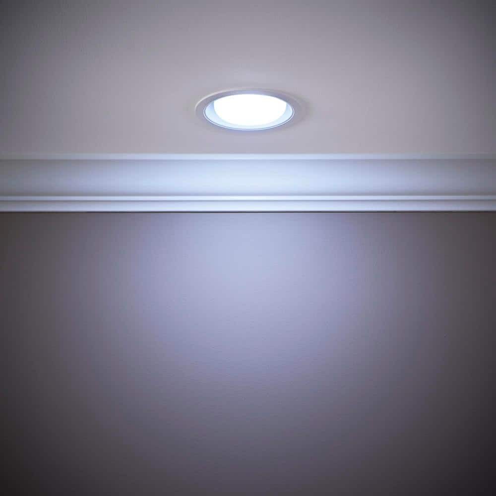 75-Watt Equivalent BR40 Dimmable LED Light Bulb Daylight 12-Pack